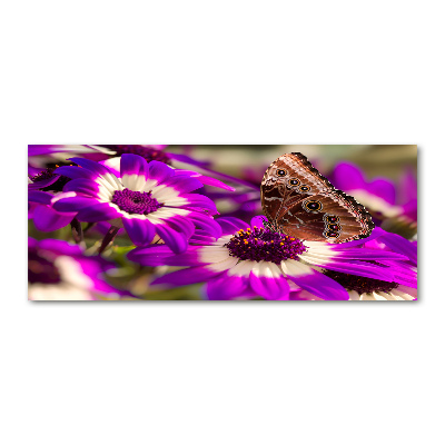 Foto op plexiglas Vlinder op een bloem