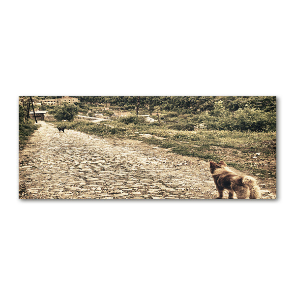 Foto in plexiglas Twee honden op een heuvel