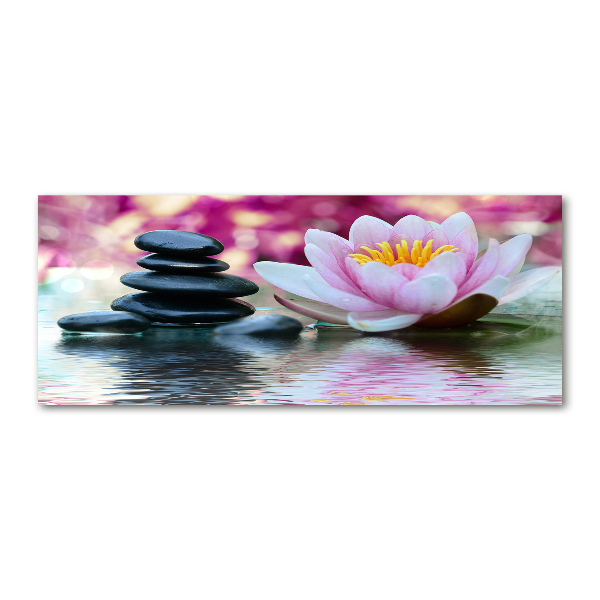 Plexiglas foto Waterlelie