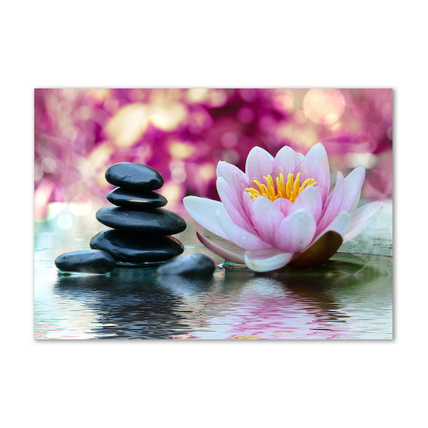 Plexiglas foto Waterlelie