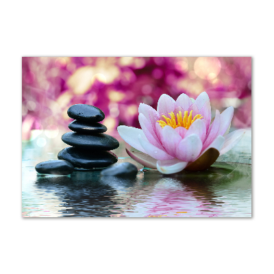 Plexiglas foto Waterlelie