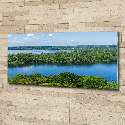Foto op plexiglas Bos aan het meer