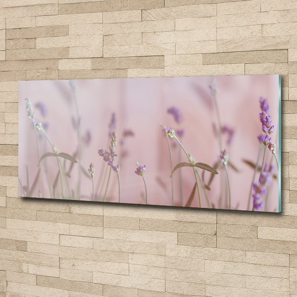 Foto plexiglas Lavendel