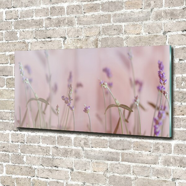 Foto plexiglas Lavendel