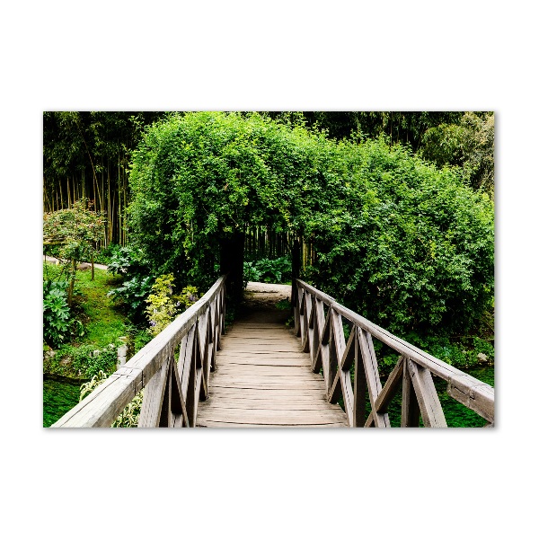 Plexiglas foto Brug over de rivier