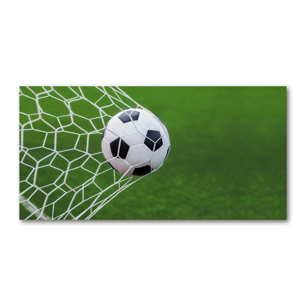 Foto plexiglas De bal ligt in het doel.
