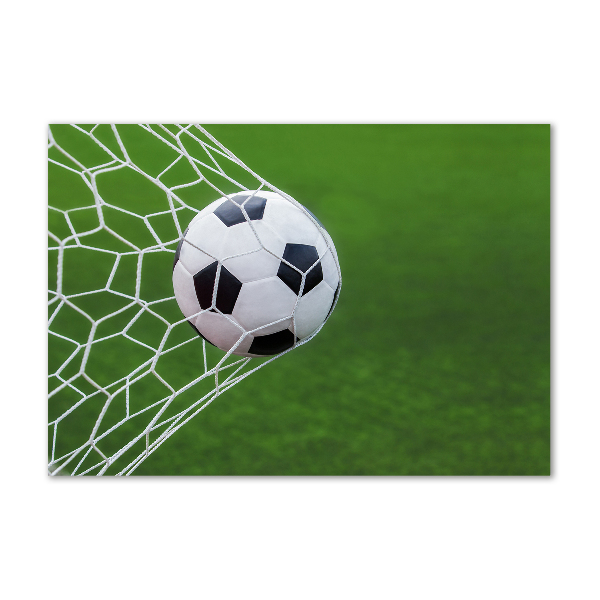 Foto plexiglas De bal ligt in het doel.