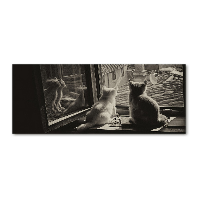 Plexiglas schilderij Katten voor het raam
