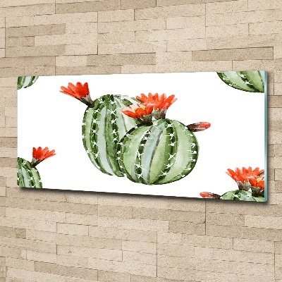 Foto plexiglas Cactussen