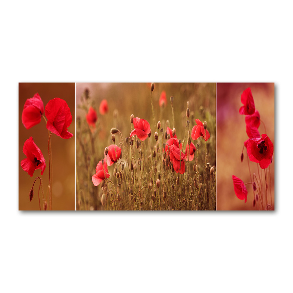 Foto op plexiglas klaprozen drieluik