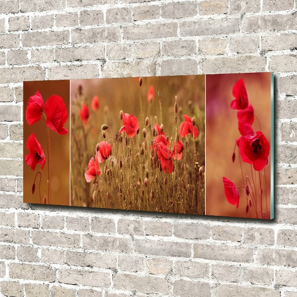 Foto op plexiglas klaprozen drieluik