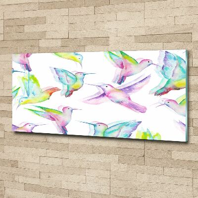 Foto op plexiglas Kolibries