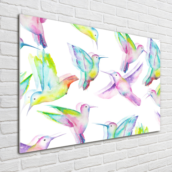 Foto op plexiglas Kolibries