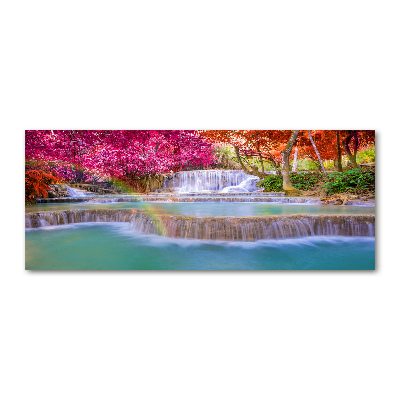 Schilderij op acrylglas Waterval in het bos