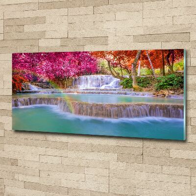 Schilderij op acrylglas Waterval in het bos