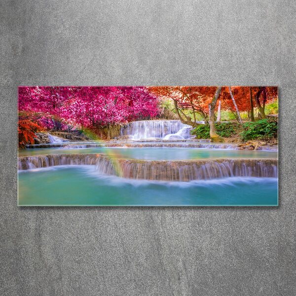 Schilderij op acrylglas Waterval in het bos