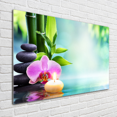 Plexiglas foto Bamboe-orchidee