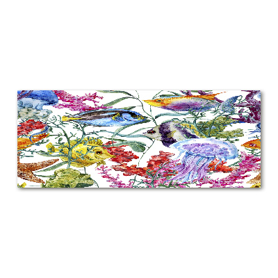 Plexiglas foto Koraalrif