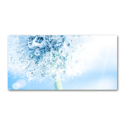 Plexiglas foto Paardebloem