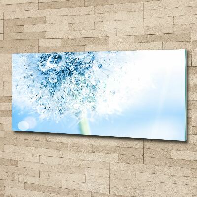 Plexiglas foto Paardebloem