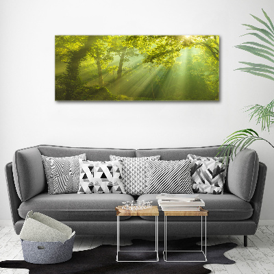 Foto plexiglas Bos in de zon