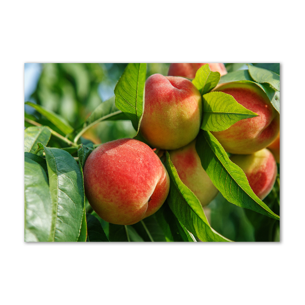 Plexiglas foto Perziken