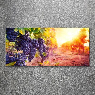 Schilderij op acrylglas Wijnranken