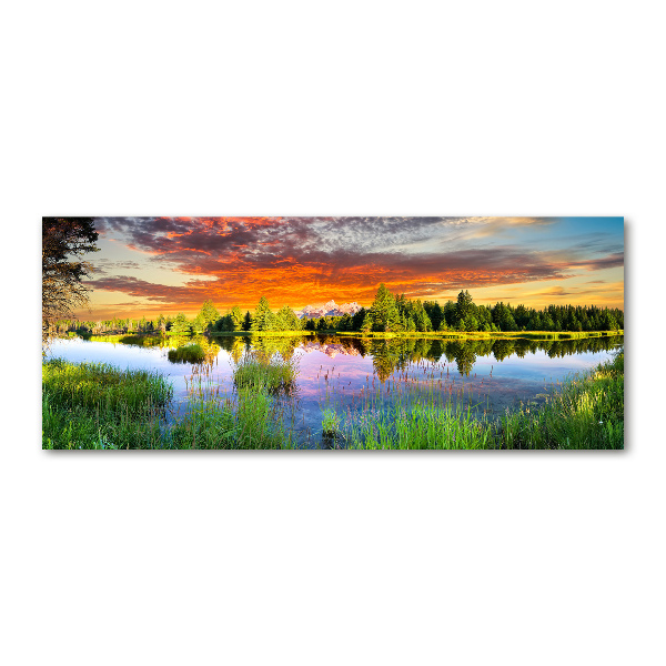 Foto in plexiglas Rivier in het bos