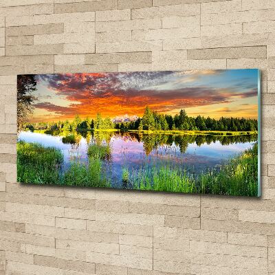 Foto in plexiglas Rivier in het bos