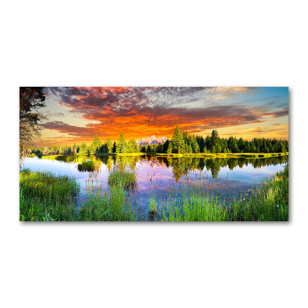 Foto in plexiglas Rivier in het bos