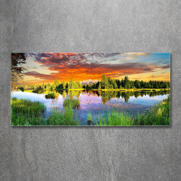 Foto in plexiglas Rivier in het bos