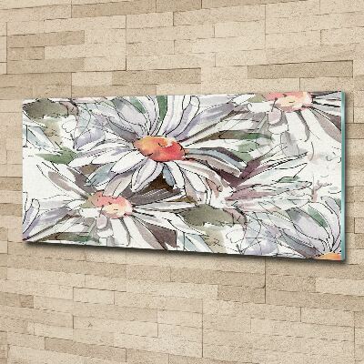 Foto op plexiglas Kamille