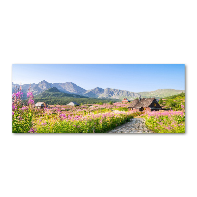 Schilderij op acrylglas Berghutten