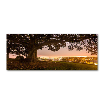 Plexiglas schilderij Oude boom