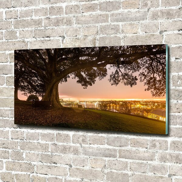 Plexiglas schilderij Oude boom