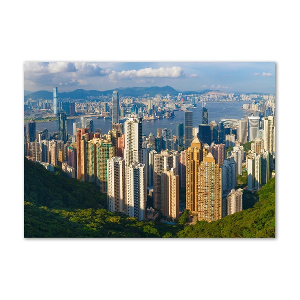 Plexiglas foto Panorama van Hongkong