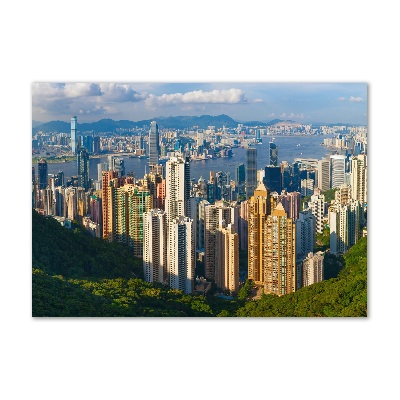 Plexiglas foto Panorama van Hongkong