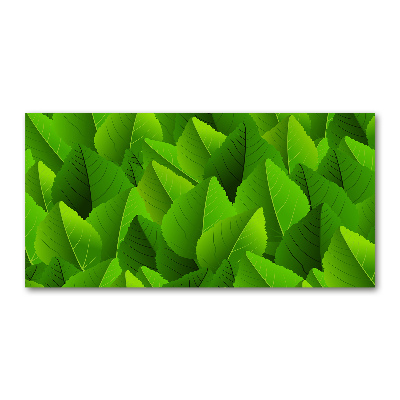 Plexiglas foto Groene bladeren