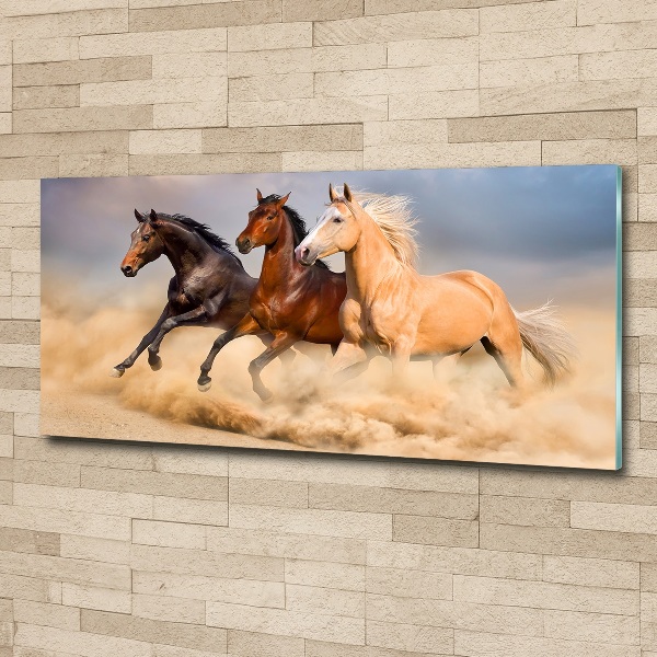 Foto in plexiglas Paarden in galop