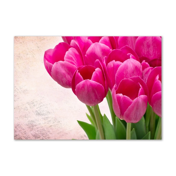 Plexiglas schilderij Roze tulpen