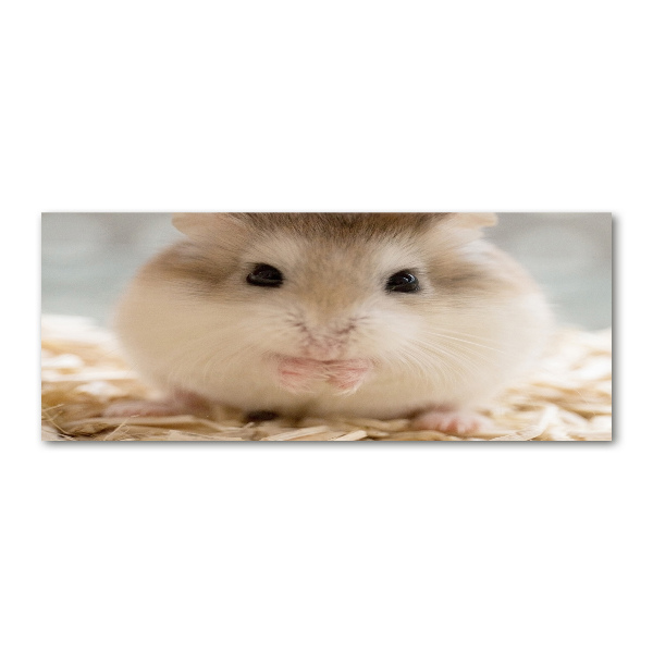 Plexiglas schilderij Hamster
