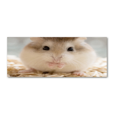 Plexiglas schilderij Hamster