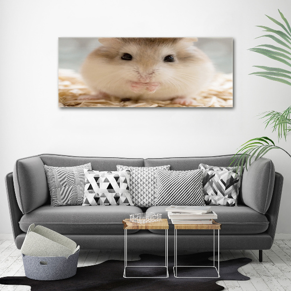 Plexiglas schilderij Hamster