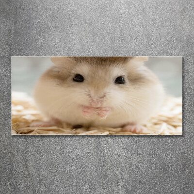 Plexiglas schilderij Hamster