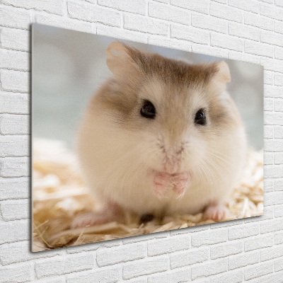 Plexiglas schilderij Hamster