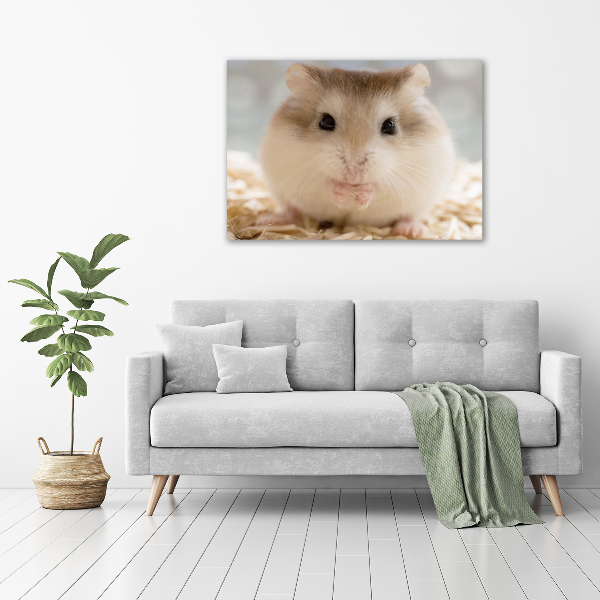 Plexiglas schilderij Hamster