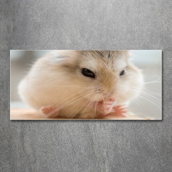 Foto op plexiglas Hamster