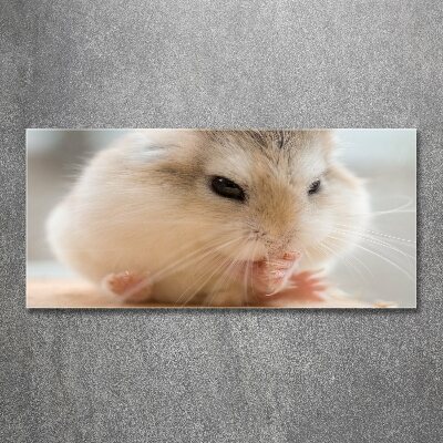 Foto op plexiglas Hamster