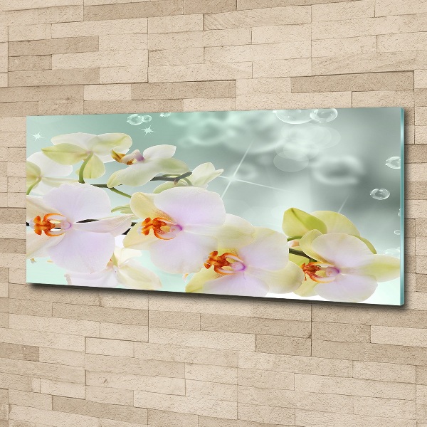 Plexiglas foto Witte orchidee