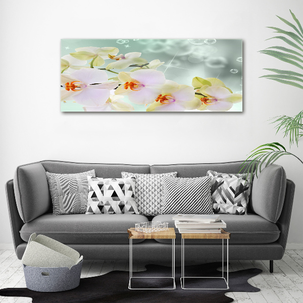 Plexiglas foto Witte orchidee